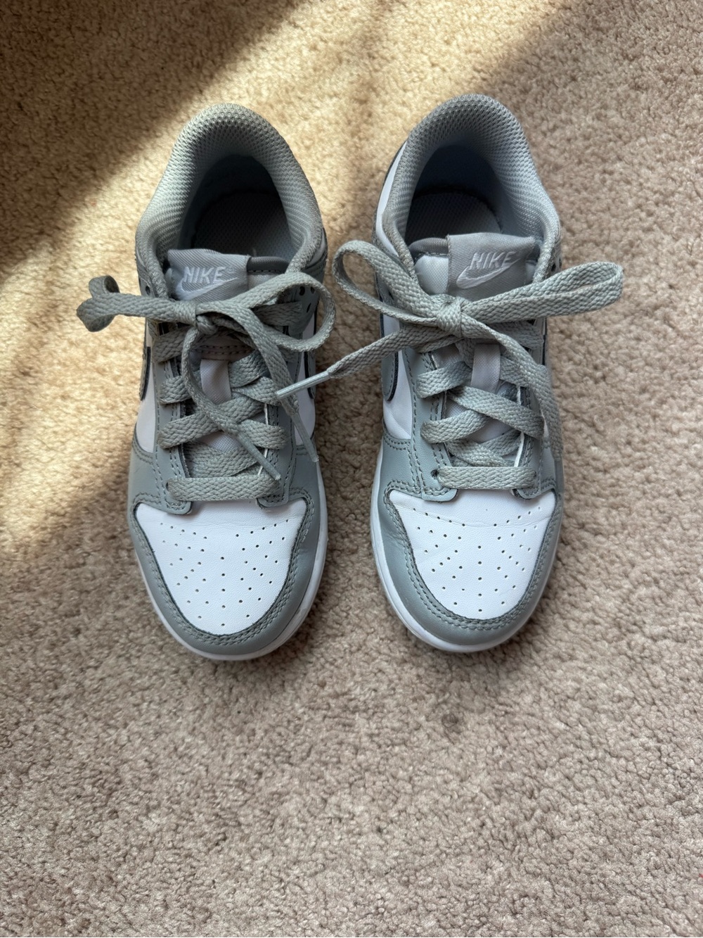 Nike dunk Kids Gray and White Casual Low-Top Sneakers